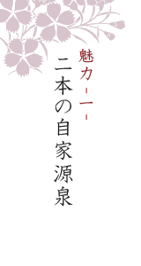 二本の自家源泉